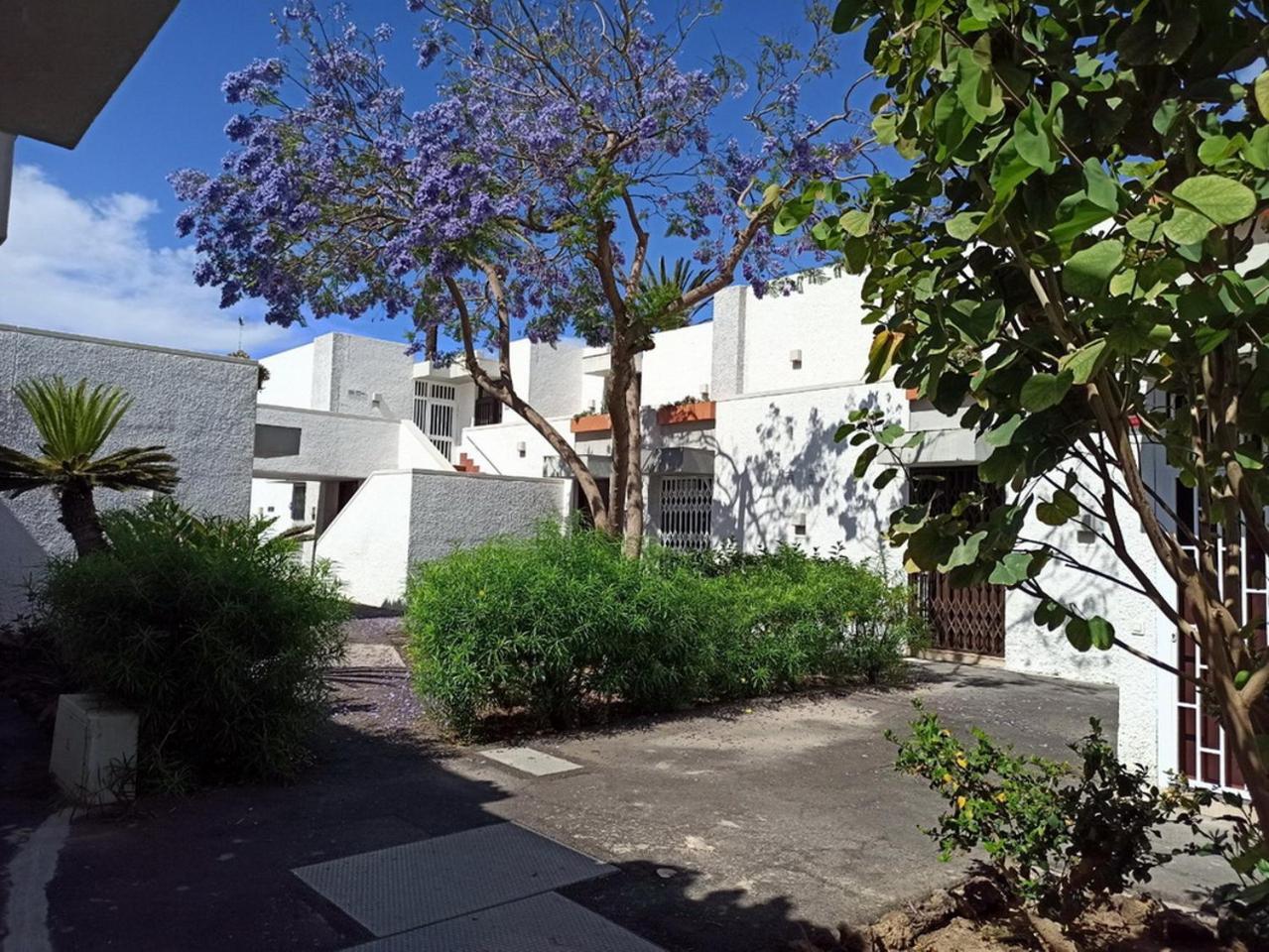 Nice Studio In The South Of Tenerife In The Costa Del Silencio Apartment Exterior photo